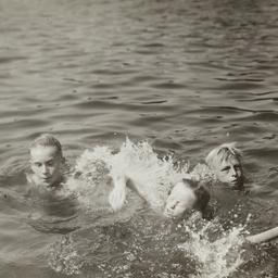 Three Boys Swimming