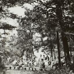 Boys on Benches in Woods