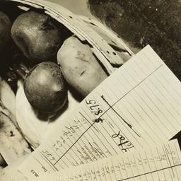 Groceries with Receipt