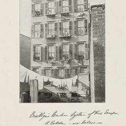 Brooklyn's Peculiar Sys...
