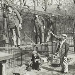 Men Painting Fence at New Y...