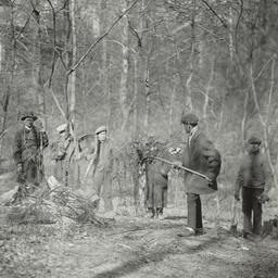 Men Clearing Trees