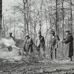 Men Creating Clearing in Woods