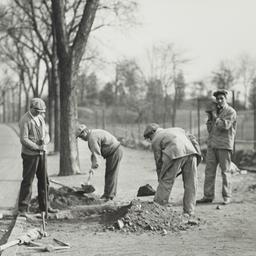 Men Digging near Street