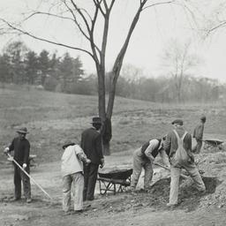 Men Clearing Land
