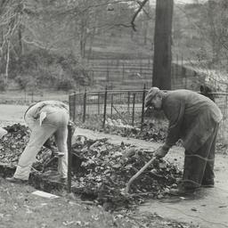 Men Digging near Sidewalk