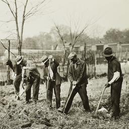Men Tilling Soil