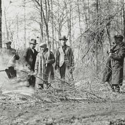 Men Burning Tree Limbs