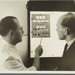 Health Examination-Men Albu...