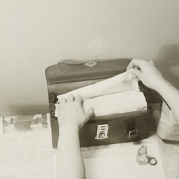 Bag and Thermometer Techniq...