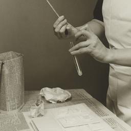 Bag and Thermometer Techniq...