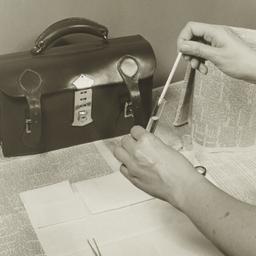 Bag and Thermometer Techniq...