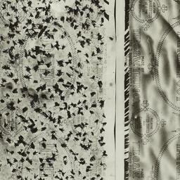 Flypaper