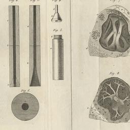 De l'Auscultation Média...