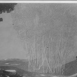 Parsifal, February 19, 1920...