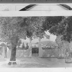 Apple Blossoms, (Marriage K...