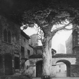 Fra Gherardo, March 21, 192...