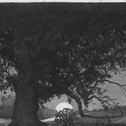 Falstaff, January 2, 1925 (...