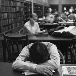 Sleeping in the Library