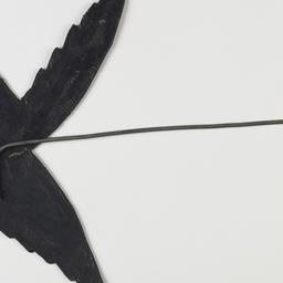 Large Bird Shadow Puppet