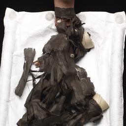 Male Hand Puppet With Bicor...
