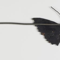Butterfly Shadow Puppet