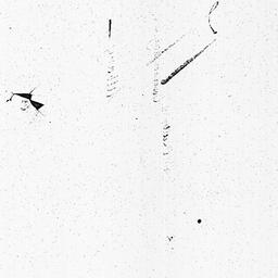 [Document, 1800 December 11]