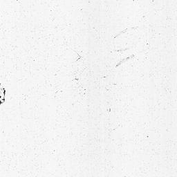 [Document, 1810 February 23]