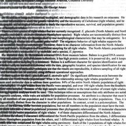 Minutes, 1999-05-11. Popula...