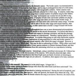 Minutes, 1998-10-20. Popula...