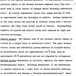 Speaker's paper, 1970-0...