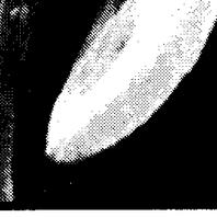 Announcements, 1978-03-24. ...