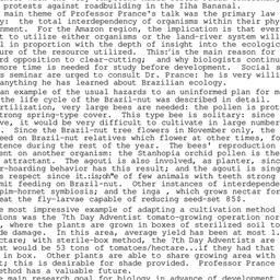 Minutes, 1983-02-10. Brazil...