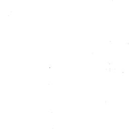 Speaker's paper, 1956-0...