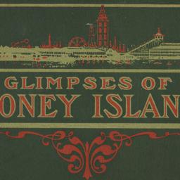 Glimpses of the New Coney I...