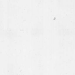 [Document, 1775 July 24]