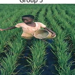 Group Work- Child Labour.pptx