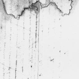 [Document, 1817 November 12]