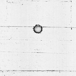 [Document, 1826 June 10]