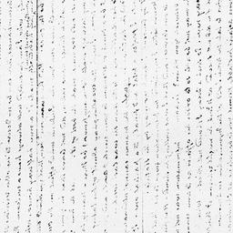 [Document, 1811 November 28]
