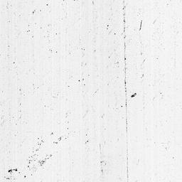 [Document, 1799 July 29]