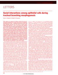 thumbnail for Ghabrial and Krasnow June 8, 2006.pdf