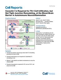 thumbnail for PIIS2211124717315747.pdf