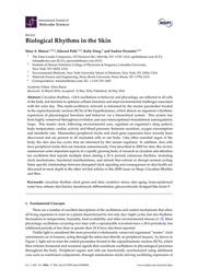 thumbnail for ijms-17-00801.pdf