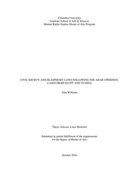 thumbnail for Williams, Alan - Final Thesis.pdf