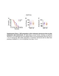 thumbnail for 41467_2018_3272_MOESM1_ESM.pdf