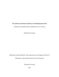 thumbnail for Campos_columbia_0054D_14204.pdf