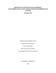 thumbnail for Zhu_columbia_0054D_15145.pdf