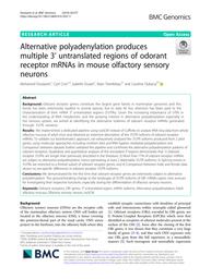 thumbnail for 12864_2019_Article_5927.pdf