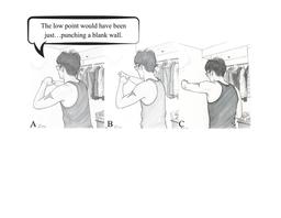 thumbnail for Figure 8 Julian Punching Wall.jpg
